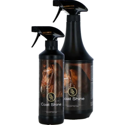 Abbildung von BR Glanzspray 500 ml 1 Farbe