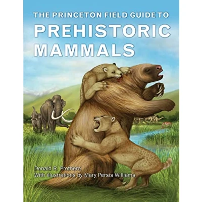 Abbildung von Princeton Field Guide to Prehistoric Mammals (Princeton Guides)
