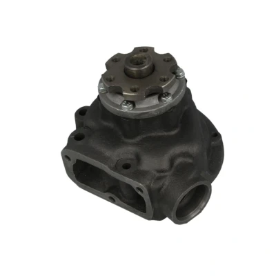 Abbildung von DOLZ M636 Wasserpumpe