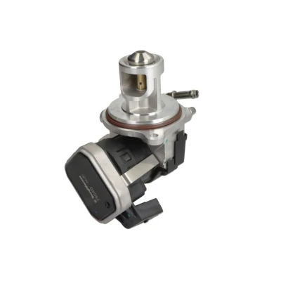 Abbildung von WAHLER 7504D AGR Ventil elektrisch mit Dichtung MERCEDES BENZ: A Class