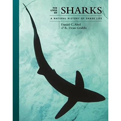Abbildung von the Lives of Sharks: A Natural History Shark Life (Lives World, 7)