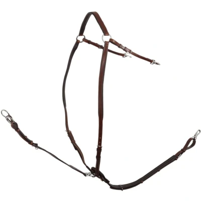 Abbildung von BR Vorderzeug Rayleigh mit Sattelriemen/Gummi Oak/Silber Vollblut