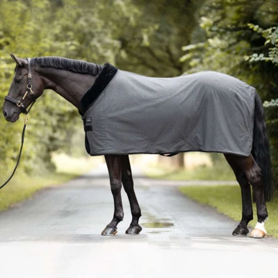 Abbildung von Cavalcade Showrug Elegance