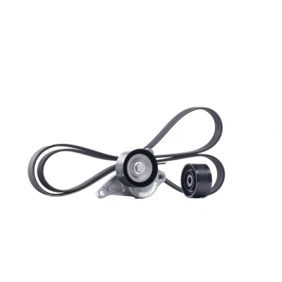Abbildung von SKF VKMA 36084 Keilrippenriemensatz RENAULT: ESPACE 4, SCENIC 3, LAGUNA NISSAN: X Trail, Qashqai / Qashqai+2 I