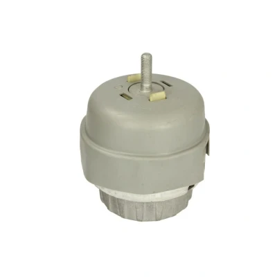 Abbildung von TEDGUM TED49172 Motorlager vorne links AUDI: A6 C6 Avant, Saloon