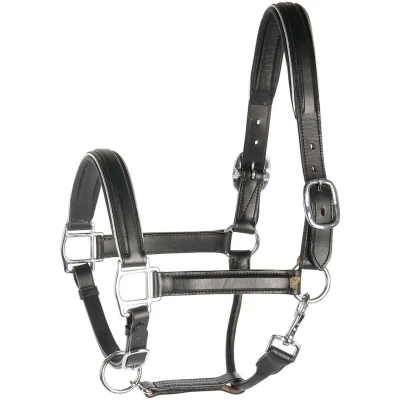 Abbildung von Harry&#039;s Horse Lederhalfter mit Paspel Silber Vollblut