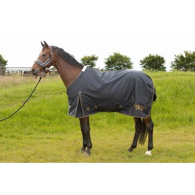 Abbildung von Harry&#039;s Horse Regendecke Thor Fleece BlueberryVerkauft von Agradi