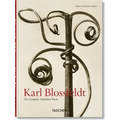 Abbildung von Karl Blossfeldt. The Complete Published Work. 40th Ed.