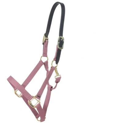Abbildung von Kentucky Horsewear Halfter Breakaway Nylon AltrosaVerkauft von Agradi