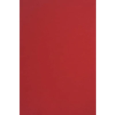 Abbildung von Netuno 10x Tonkarton Rot DIN A4 210 x 297 mm 170g Sirio Color Lampone Feinkarton Kreativ Karton farbig Bastel Bogen Naturkarton für DIY Projekte Visitenkarten