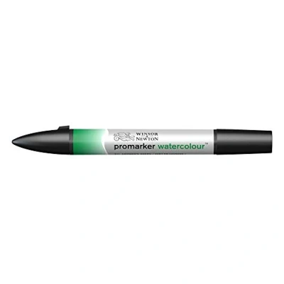 Abbildung von Winsor &amp; Newton 0201311 Aquarellmarker 2 Spitzen, Pinsel und feiner Spitze, lichtecht, hochpigmentierte Aquarellfarben für Kalligrafie, Zeichnungen Hooker&#039;s grün