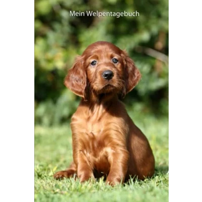 Abbildung von Mein Welpentagebuch: die ersten Monate mit meinem Irish Setter (Irish alle Bücher: Trainingstagebuch, Krankenakte BARF Planer und Welpentagebuch, Band 3)