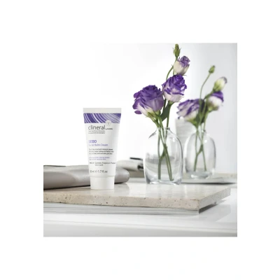 Abbildung von Ahava Clineral Sebo Facial Balm Cream