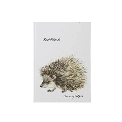 Abbildung von Pagna 20367 15 Freundebuch Igel 60S