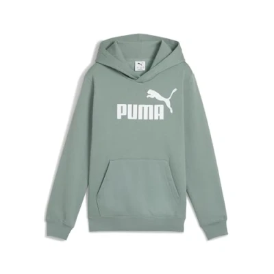 Abbildung von PUMA Jungen ESS No. 1 Logo Hoodie FL B Kapuzenpullis, Green Moon, 164
