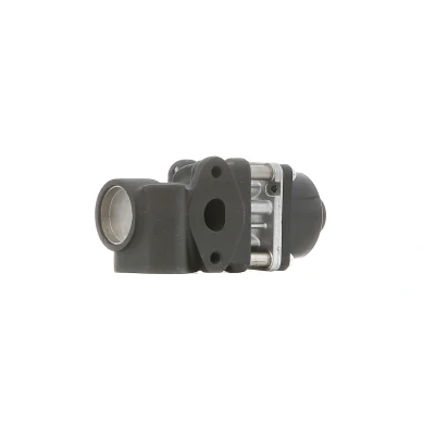 Abbildung von DELPHI EG10454 12B1 AGR Ventil SUZUKI: Grand Vitara 2 SUV, SWIFT 3, 4, FIAT: Sedici