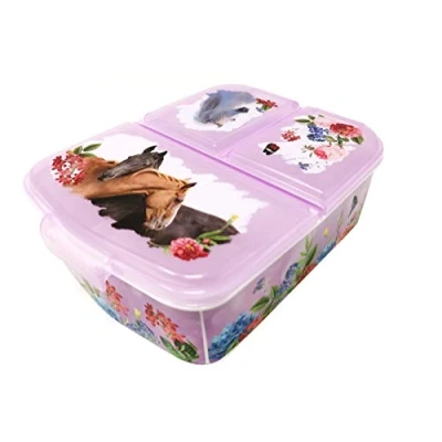 Abbildung von Theonoi Kinder Brotdose Lunchbox Sandwichbox mit Fächern Brotbox Unterteilung Kindergarten aus Kunststoff BPA frei (Pferd Horses)