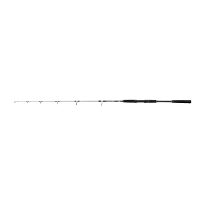 Abbildung von Mitchell Tanager SW Meeres Jig Rute 1.60m (100 250g) Meeresrute