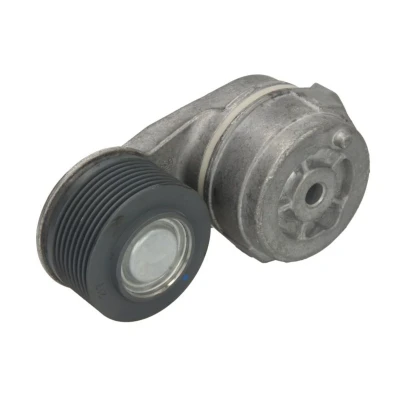 Abbildung von DAYCO APV2704 Riemenspanner