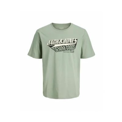 Abbildung von Jack &amp; Jones Tshirt print, Herren, Größe: 5XL, Iceberg green