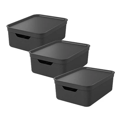 Abbildung von Rotho Jive 3er Set Aufbewahrungsbox 10l mit Deckel