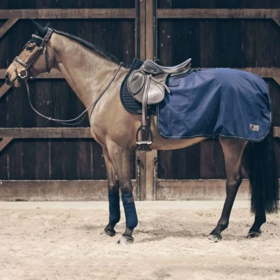 Abbildung von Kentucky Quarter Rug All Weather 160g Navy M