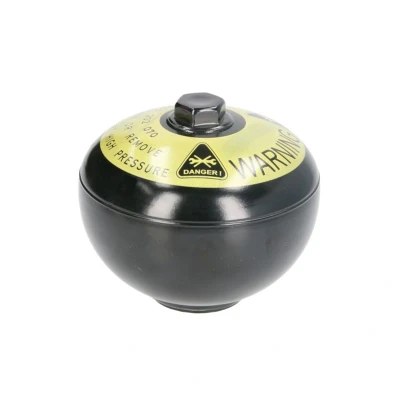 Abbildung von ABS Elektronik BOSCH 0 265 202 070