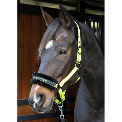 Abbildung von Harry&#039;s Horse Halfterset Lyrics Quotes LimetteVerkauft von Agradi
