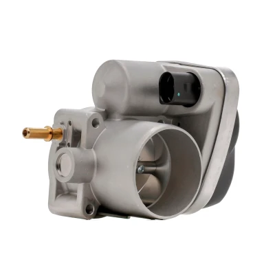 Abbildung von MAGNETI MARELLI 802000000078 Drosselklappe RENAULT: MEGANE 2 Coupe Cabriolet, CLIO 3