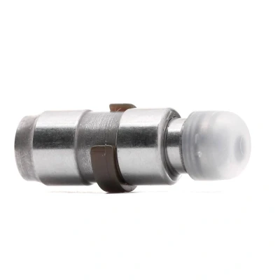 Abbildung von FEBI BILSTEIN 18672 Hydrostößel hydraulisch Einlassseite, Auslassseite VOLKSWAGEN: Passat B7 Variant, Golf 4, 5, AUDI: Q7, A5 B8 Coupe kfzteile,