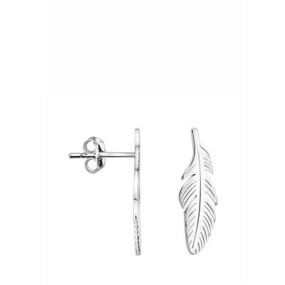 Abbildung von SOFIA MILANI Damen Ohrringe 925 Silber Feder Ohrstecker 20880