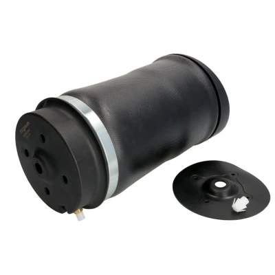 Abbildung von Magnum Technology MZM010MT Luftfeder, Fahrwerk Hinterachse