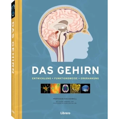 Abbildung von Das Gehirn: Gehirn und die psychische Gesundheit