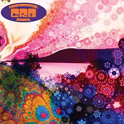 Abbildung von Phosphorescent Harvest (Incl.2 Track 7&quot;) [Vinyl LP]