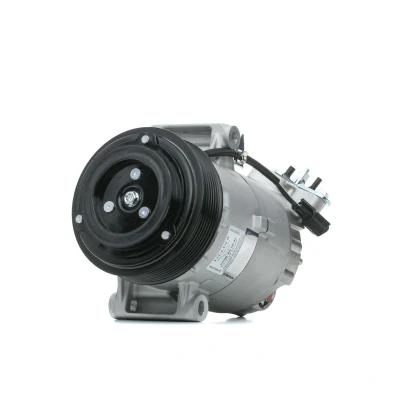 Abbildung von DELPHI TSP0155928 Kompressor 6CVC13 PAG 46 mit Kompressoröl NISSAN: Qashqai / Qashqai+2 I