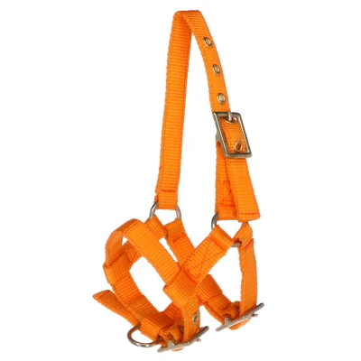 Abbildung von Norton Halfter Mini Verstellbar Orange Fohlen