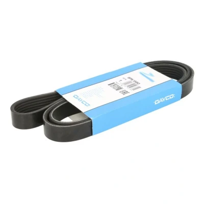 Abbildung von DAYCO 6PK1560 Keilrippenriemen 6 BMW: 5 Touring, Saloon, 3 FORD: Focus Mk1 Hatchback, Box Body / Estate, Estate