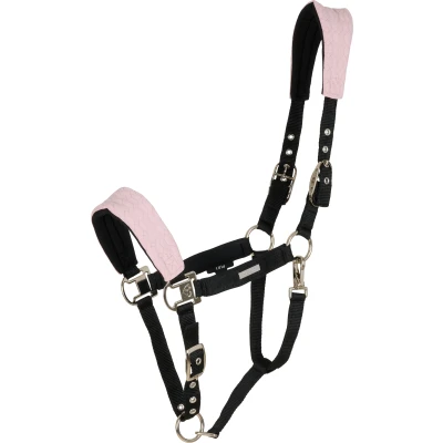Abbildung von Catago SS25 Halter Grand Fir Tech