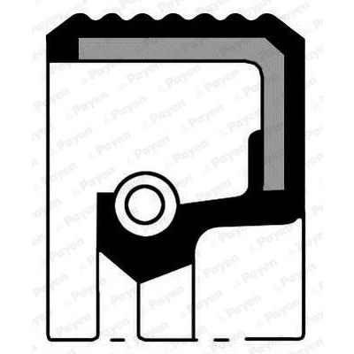 Abbildung von PAYEN NA5449 Wellendichtring, Schaltgetriebe PEUGEOT: 208 I Hatchback, 308 SW 2, 207 CITROËN: Synergie, Berlingo II