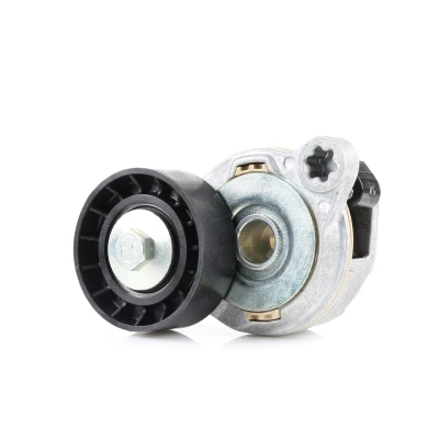 Abbildung von FEBI BILSTEIN 49398 Riemenspanner
