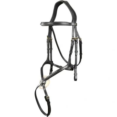 Abbildung von Dyon Zaum Fig 8 Schwarz Warmblut