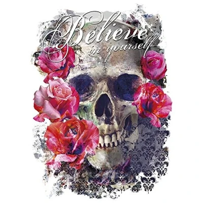 Abbildung von Ideen mit Herz Color Bügeltransfers, 23,5 x 34 cm, filigran ohne Hintergund Textilien wie T Shirts &amp; Taschen Bügelmotiven verzieren Bilder einfach aufbügeln Textildesign (Skull &#039;n&#039; Roses)