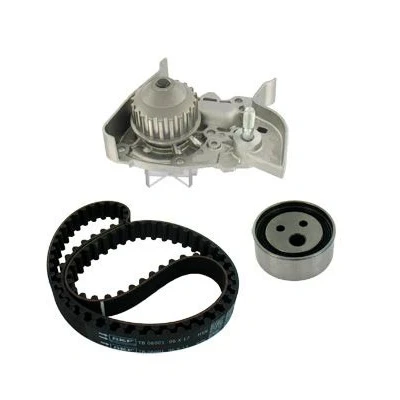 Abbildung von SKF VKMC 06005 Wasserpumpe + Zahnriemensatz mit Dichtungen 96 RENAULT: CLIO 2, Kangoo I Express, Megane Grandtour