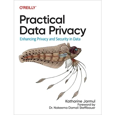 Abbildung von Practical Data Privacy: Enhancing Privacy and Security in