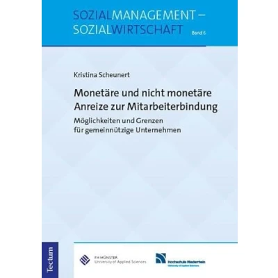 Abbildung von monetäre und nicht Anreize zur Mitarbeiterbindung: Möglichkeiten Grenzen für gemeinnützige Unternehmen (Sozialmanagement Sozialwirtschaft)