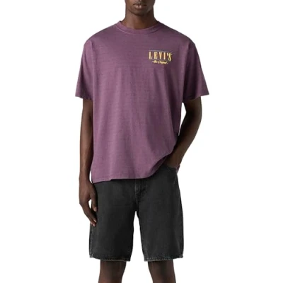 Abbildung von Levi&#039;s Vintage FIT Graphic TEE Tshirt print, Herren, Größe: Small, Grey/violet