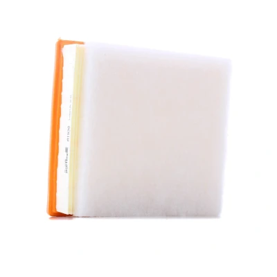 Abbildung von PURFLUX A1538 Luftfilter 65 206 228 Filtereinsatz BMW: 3 Touring, Saloon, 4 Coupe