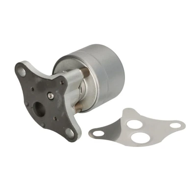 Abbildung von NISSENS 98560 AGR Ventil CHEVROLET: Spark