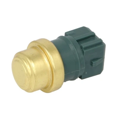 Abbildung von DELPHI TS10487 Kühlmitteltemperatursensor RENAULT: MEGANE 1 Cabriolet