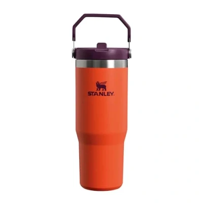 Abbildung von Stanley The IceFlow Flip Straw Tumbler 0.89L Wasserflasche